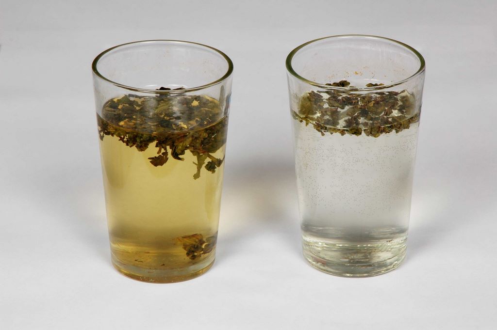 能量水泡茶試驗圖1.jpg